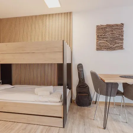 Au Centre De Apartament